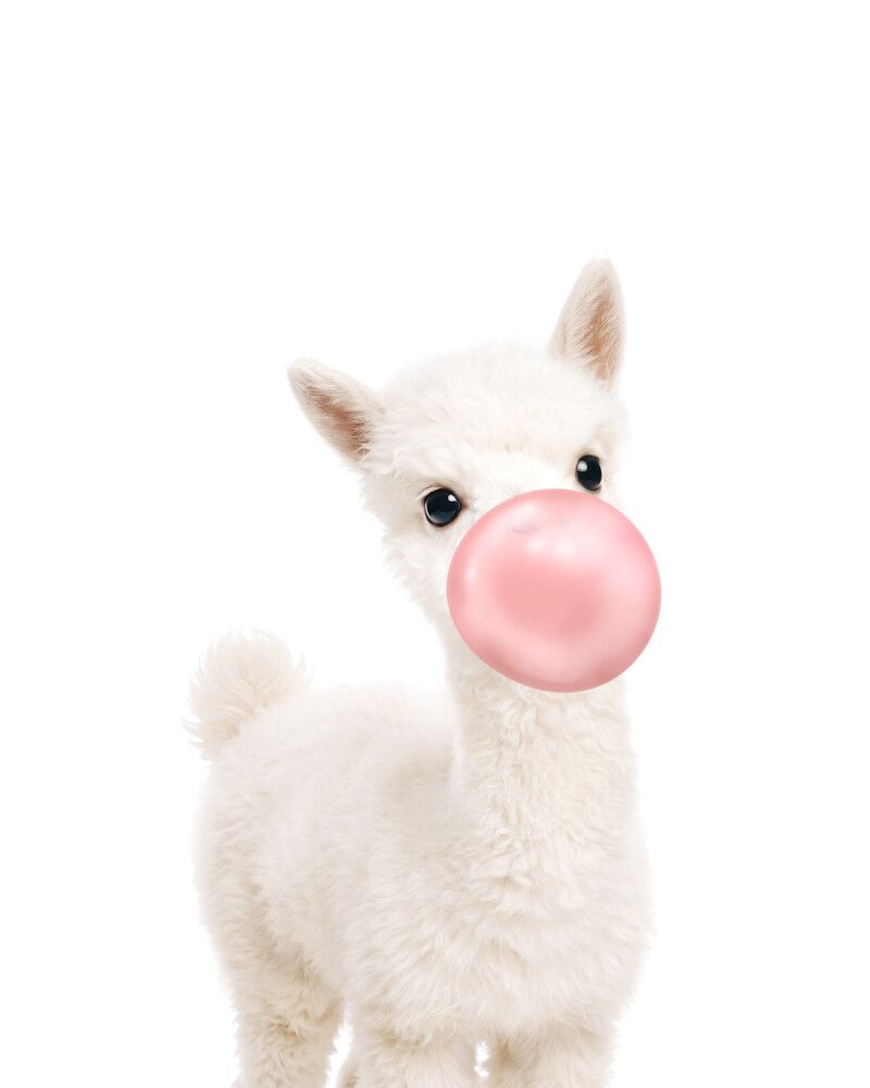 Alpaca Bubblegum-Pink