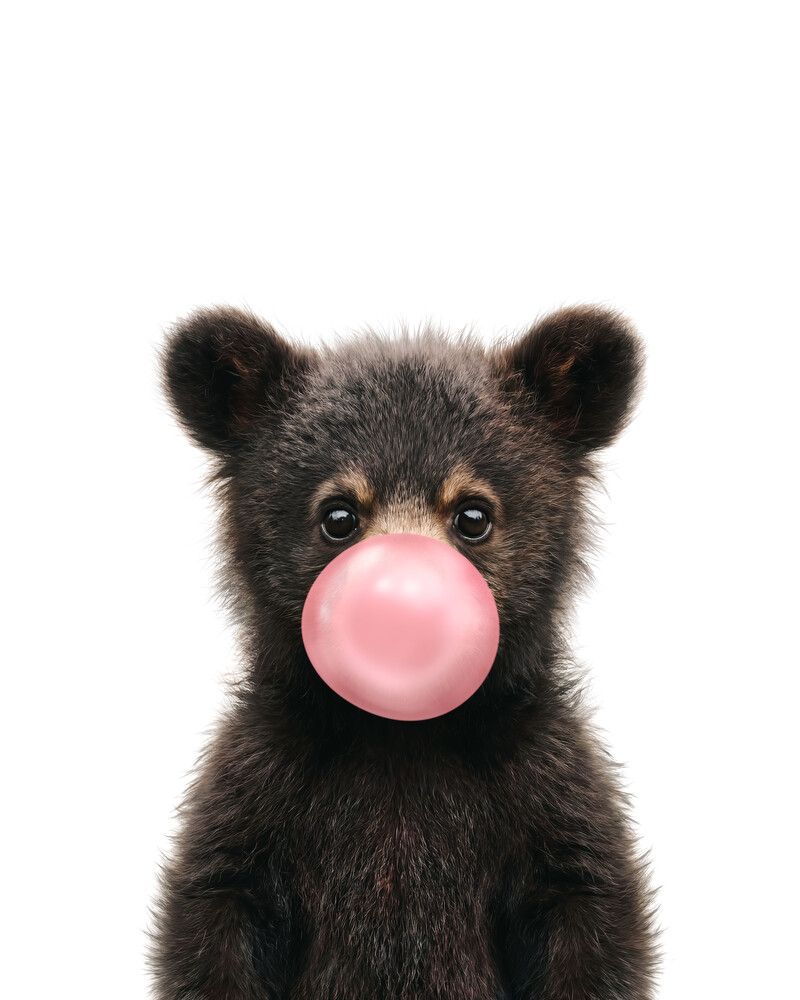 Bear-Black Bubblegum-Pink
