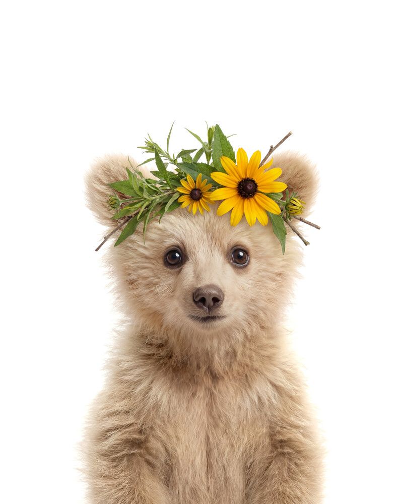 Bear-Grizzly Flowers
