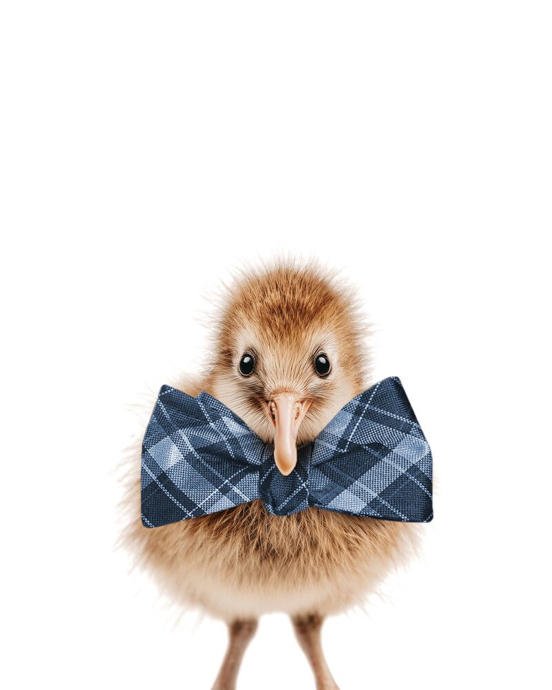 Bird-Kiwi Bowtie-Cornflower