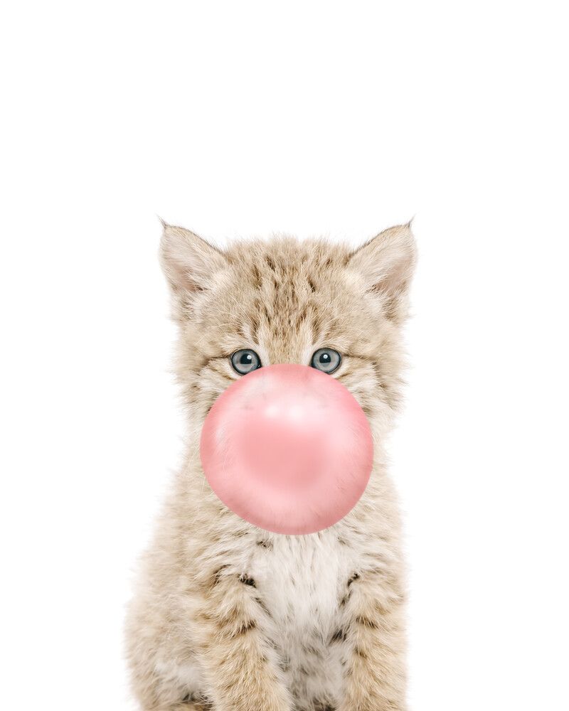 Bobcat Bubblegum-Pink