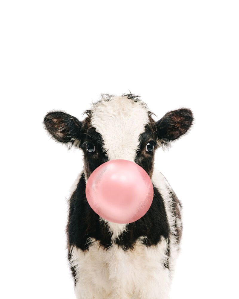 Cow Bubblegum-Pink