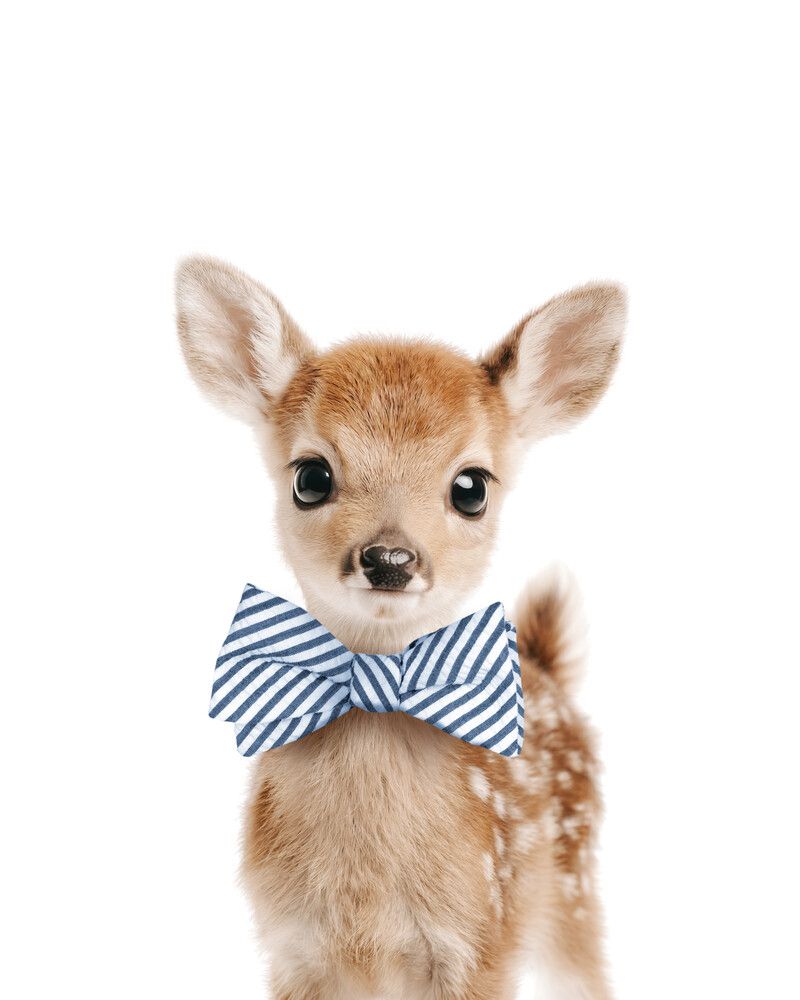 Deer Bowtie-Cornflower