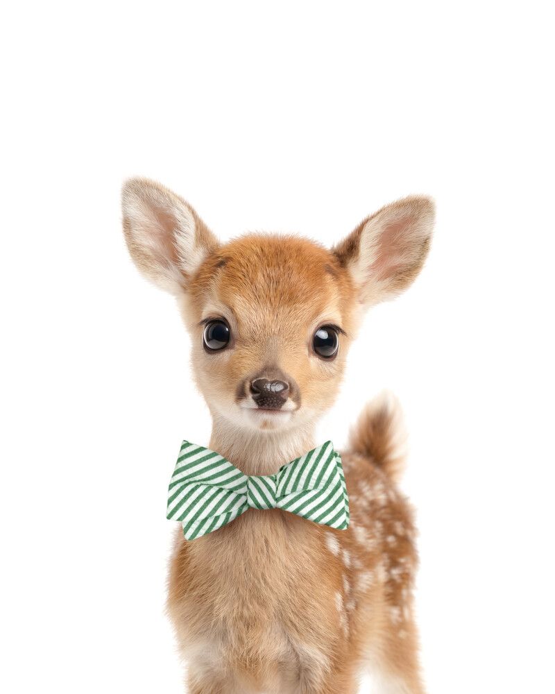 Deer Bowtie