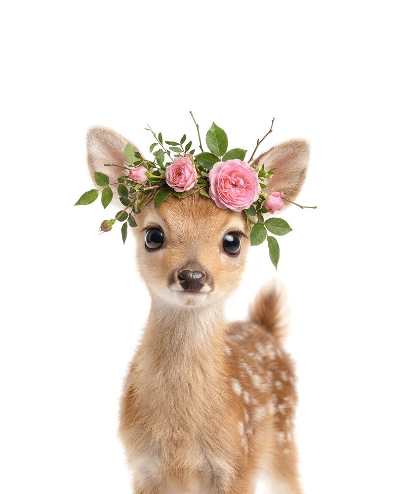Deer Flowers
