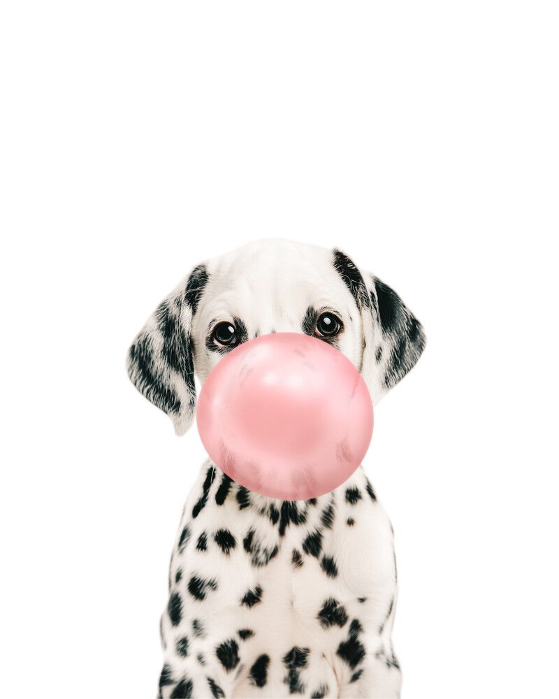 Dog-Dalmatian Bubblegum-Pink