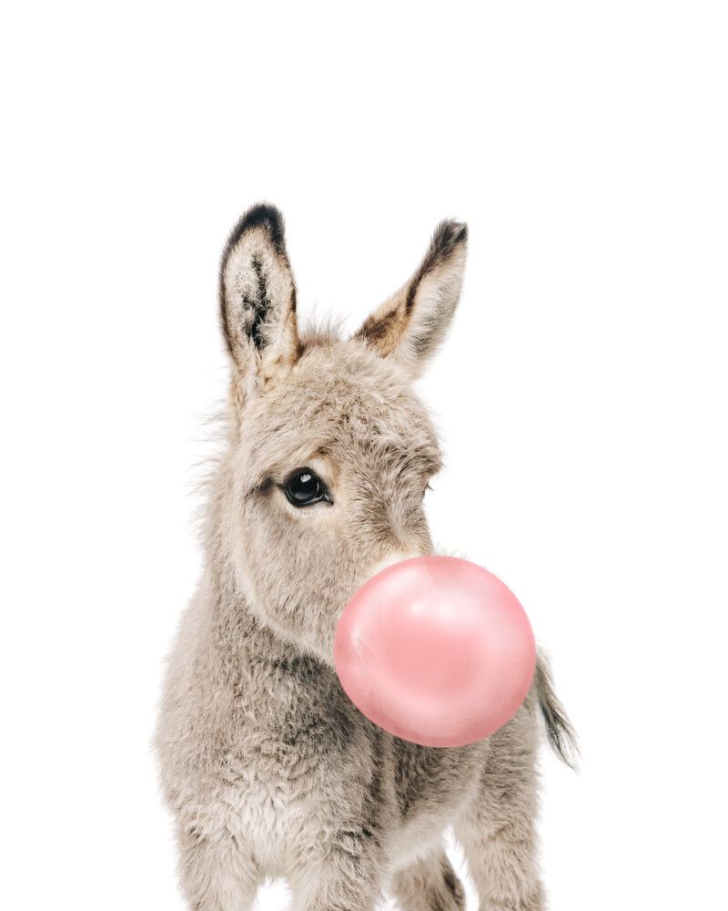 Donkey Bubblegum-Pink