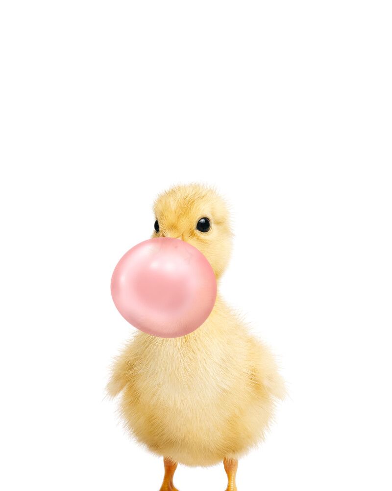 Duckling Bubblegum-Pink