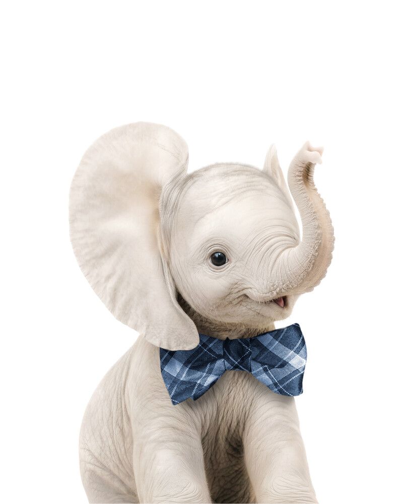Elephant Bowtie-Cornflower