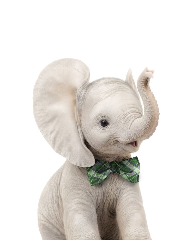 Elephant Bowtie