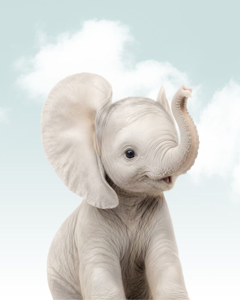 Elephant Sky