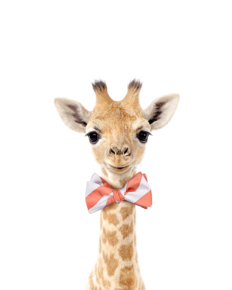 Giraffe Bowtie
