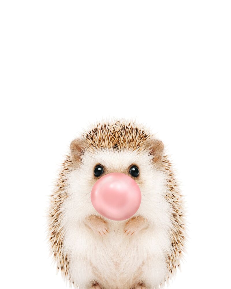 Hedgehog Bubblegum-Pink