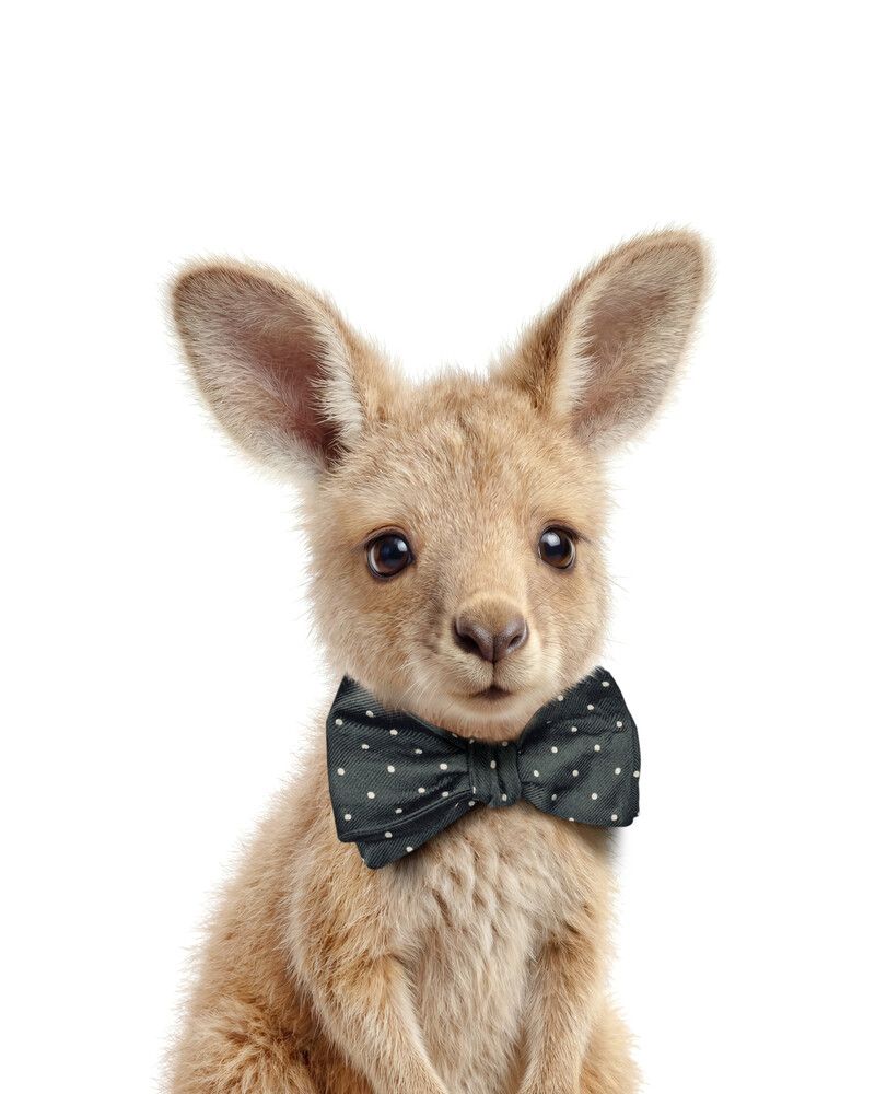Kangaroo Bowtie