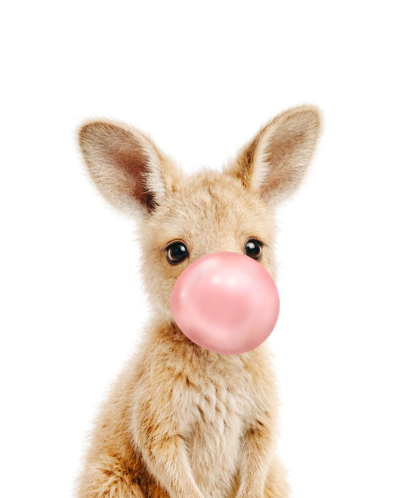 Kangaroo Bubblegum-Pink