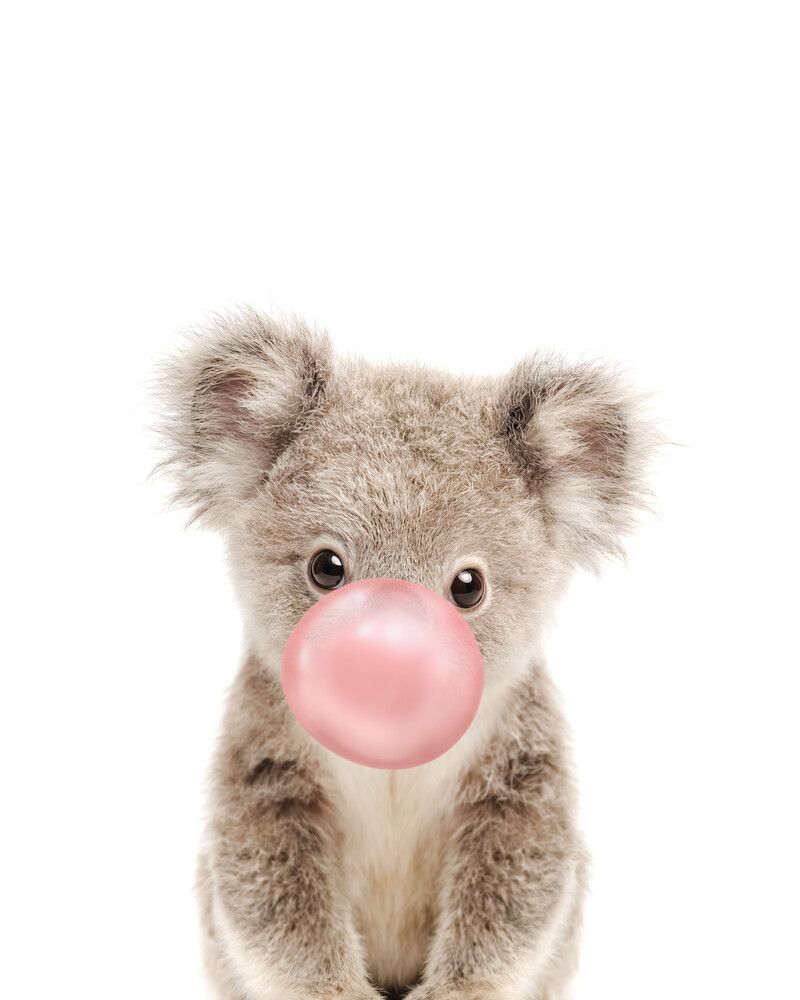 Koala Bubblegum-Pink