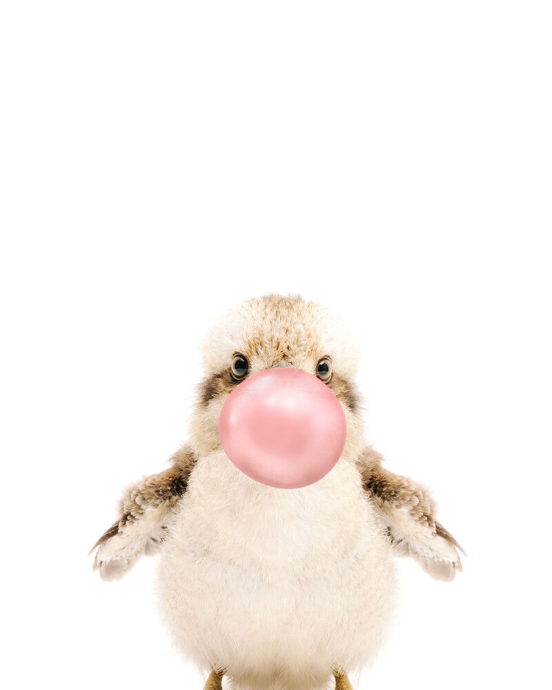 Kookaburra Bubblegum-Pink