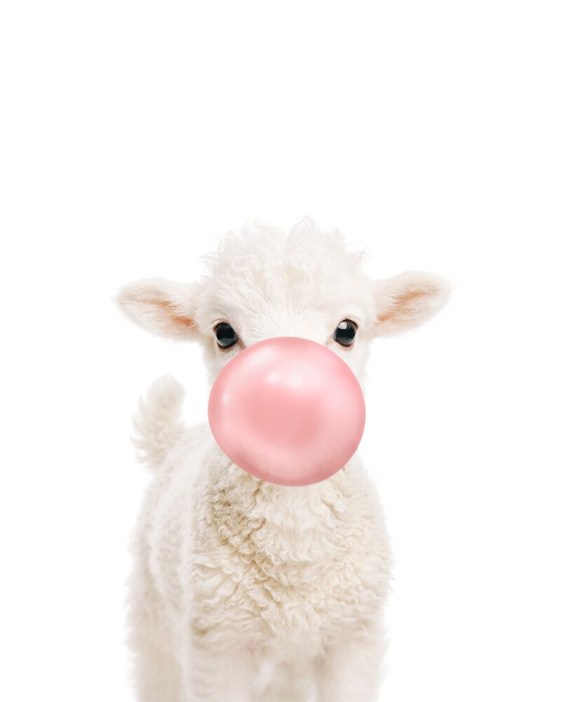 Lamb Bubblegum-Pink
