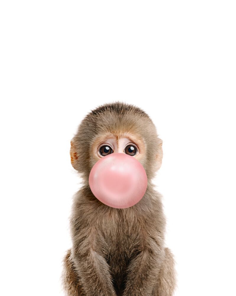 Monkey Bubblegum-Pink