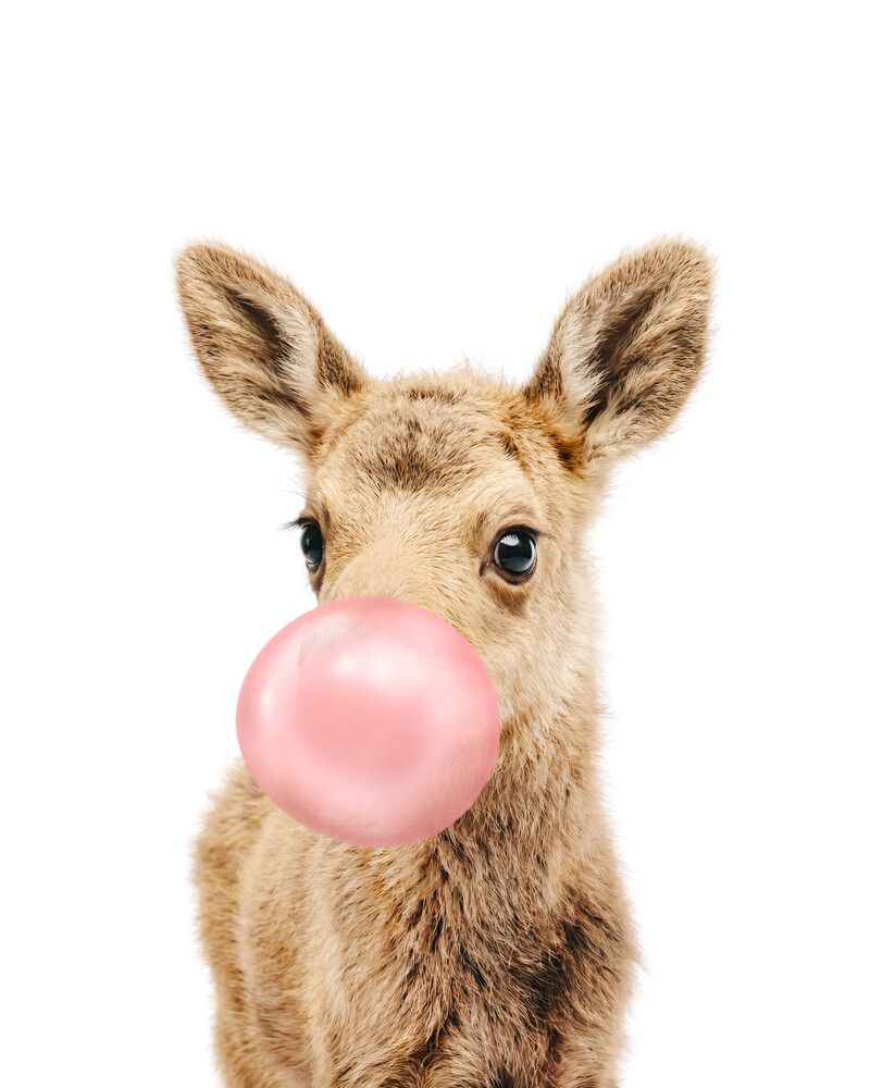 Moose Bubblegum-Pink