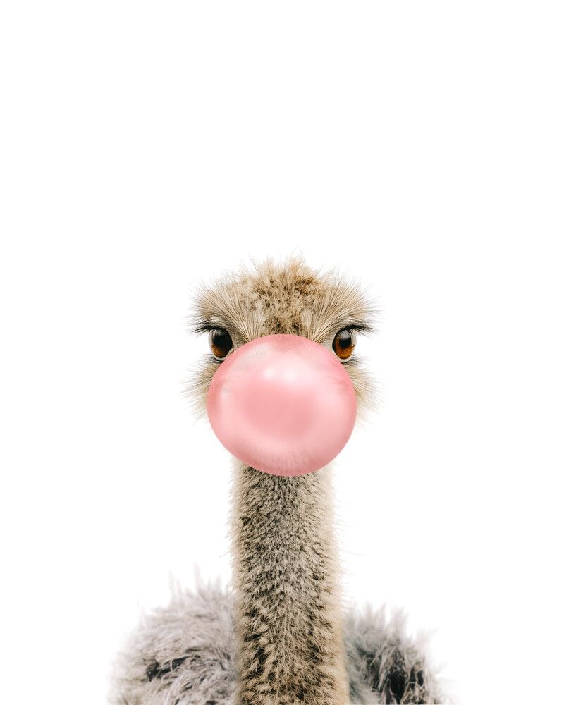 Ostrich Bubblegum-Pink