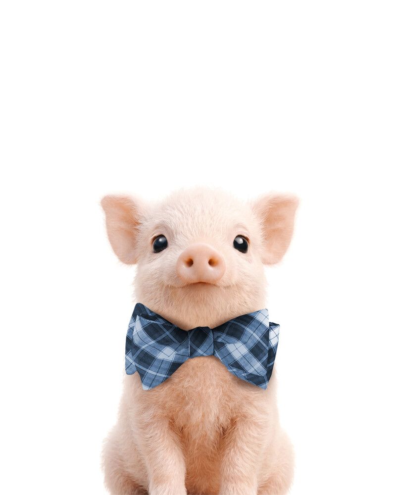 Pig Bowtie-Cornflower