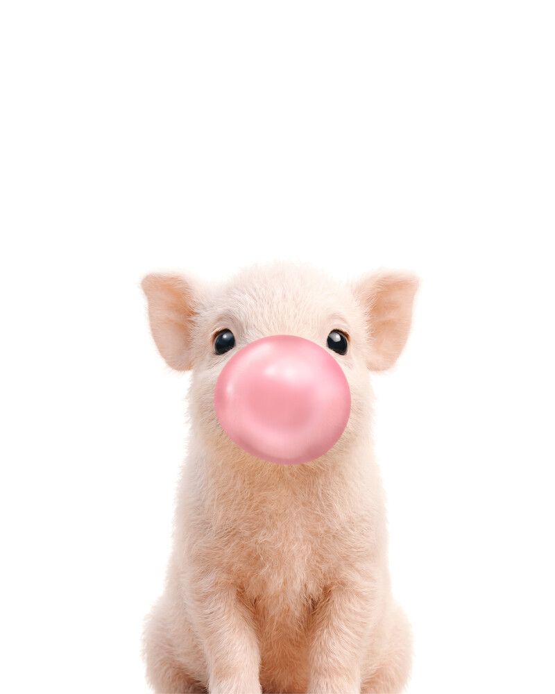 Pig Bubblegum-Pink
