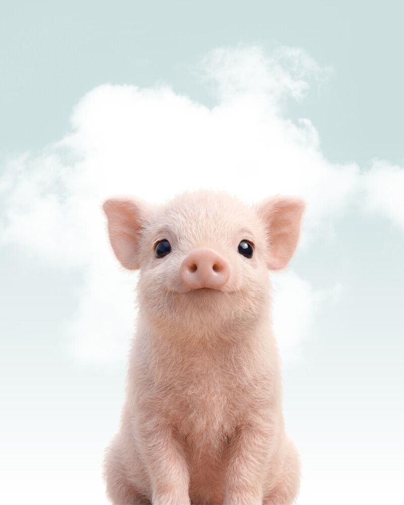Pig Sky