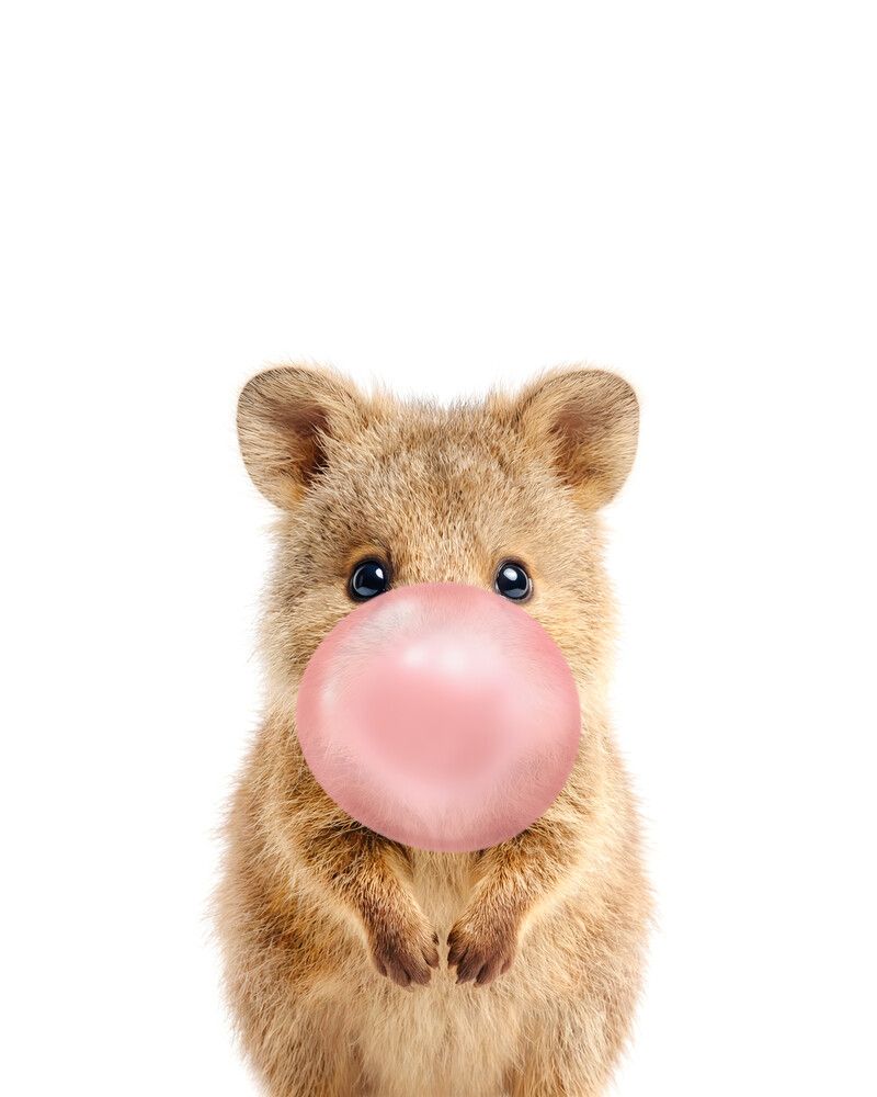 Quokka Bubblegum-Pink