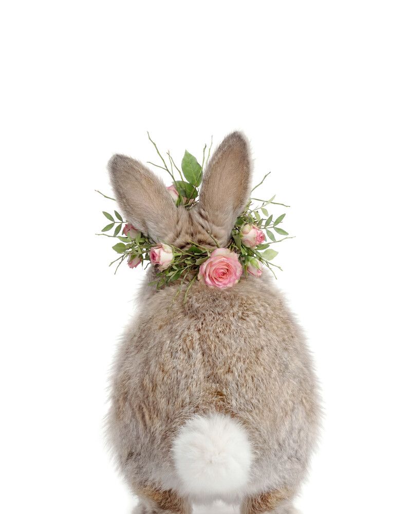 Rabbit-Bum Flowers