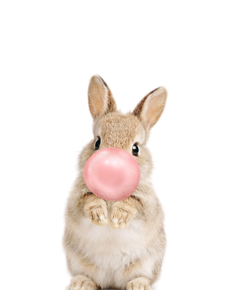 Rabbit Bubblegum-Pink