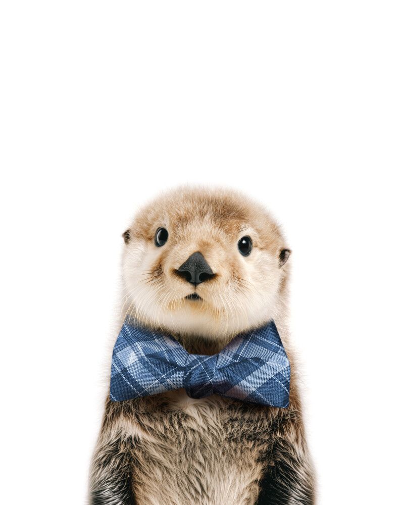 Sea-Otter Bowtie-Cornflower