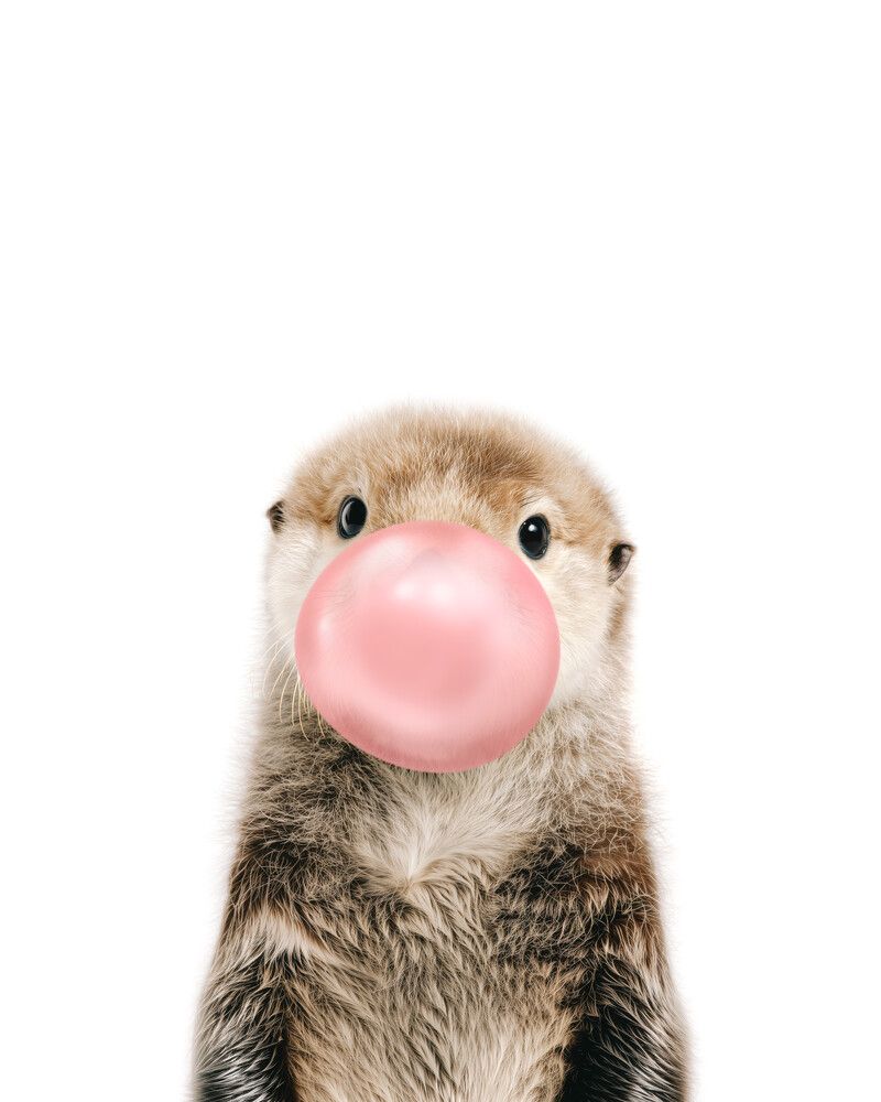 Sea-Otter Bubblegum-Pink