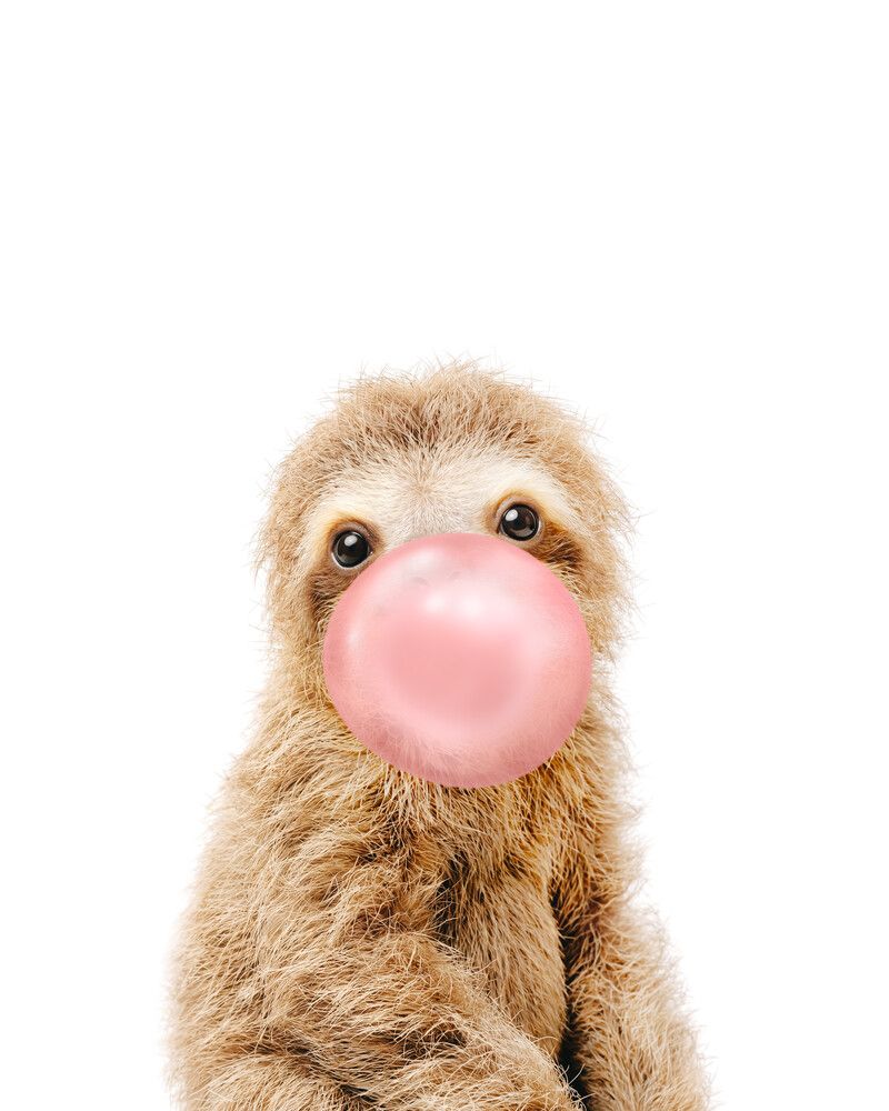 Sloth Bubblegum-Pink