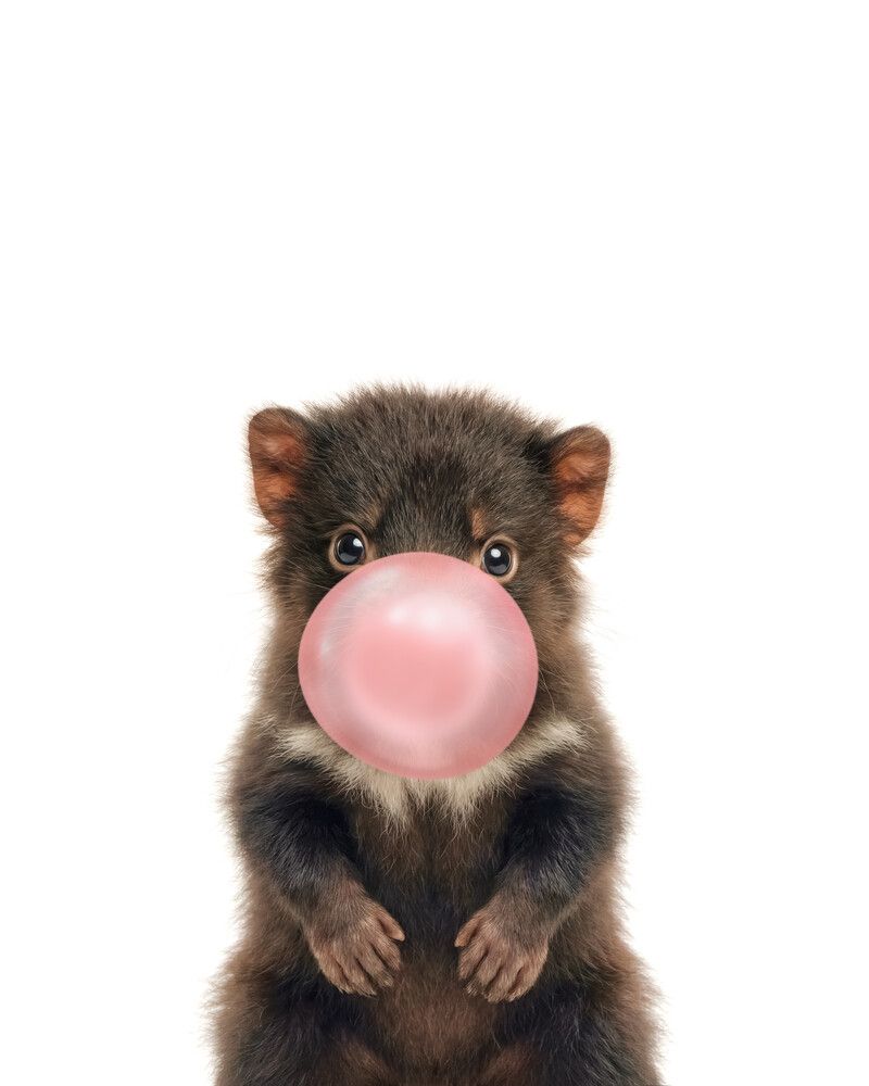 Tasmanian-Devil Bubblegum-Pink
