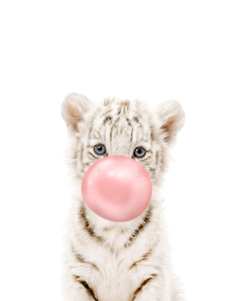 Tiger-White Bubblegum-Pink
