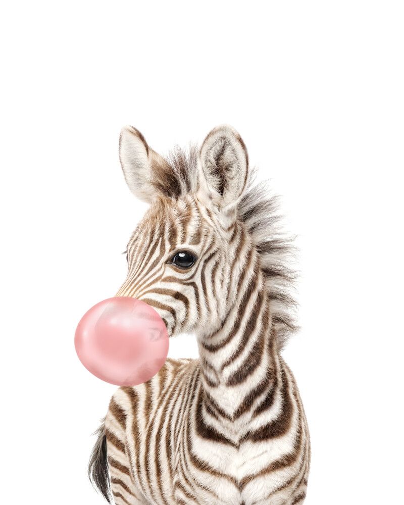 Zebra Bubblegum-Pink