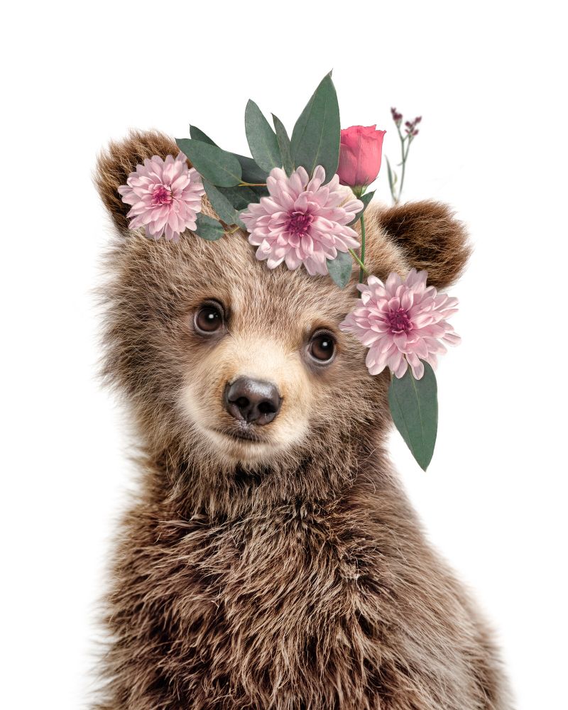 Bear-Grizzly Flowers