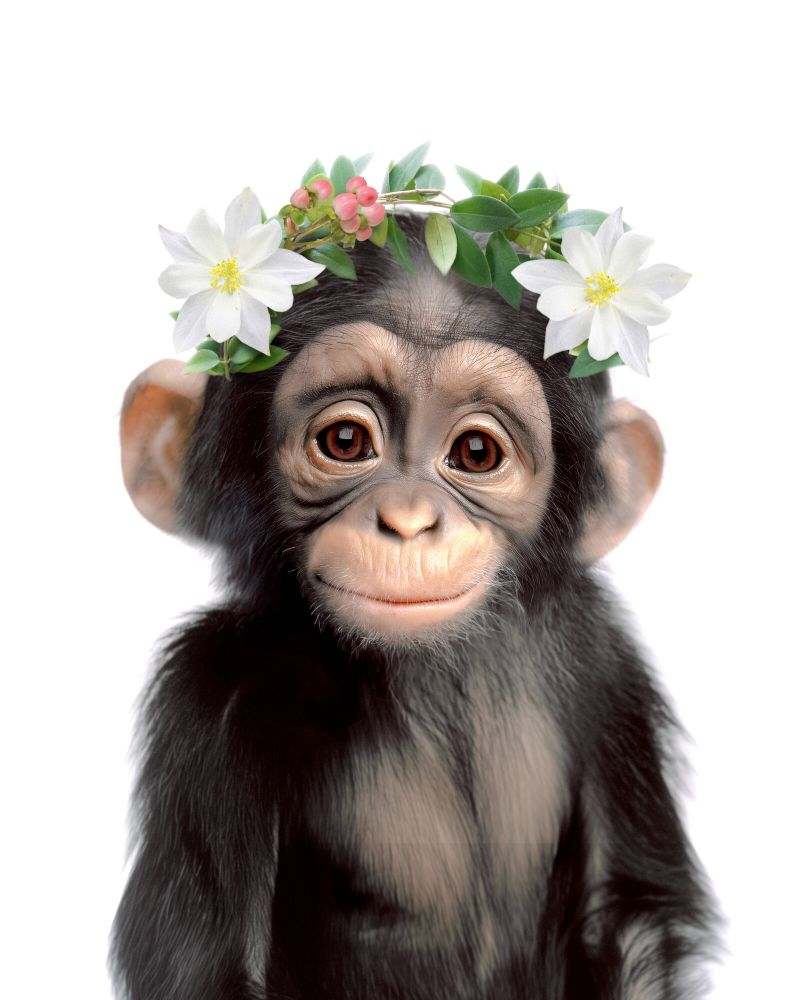 Chimpanzee Flowers
