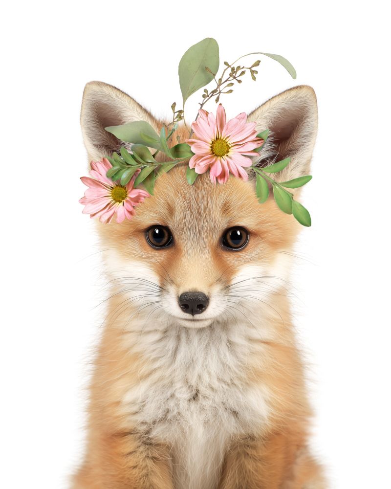 Fox Flowers