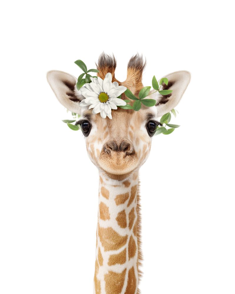 Giraffe Flowers