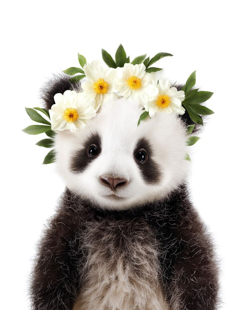 Panda Flowers