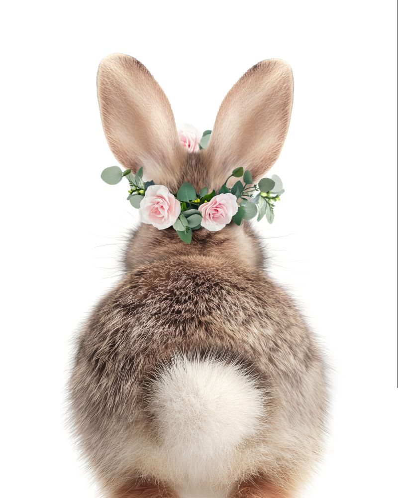 Rabbit-Bum Flowers