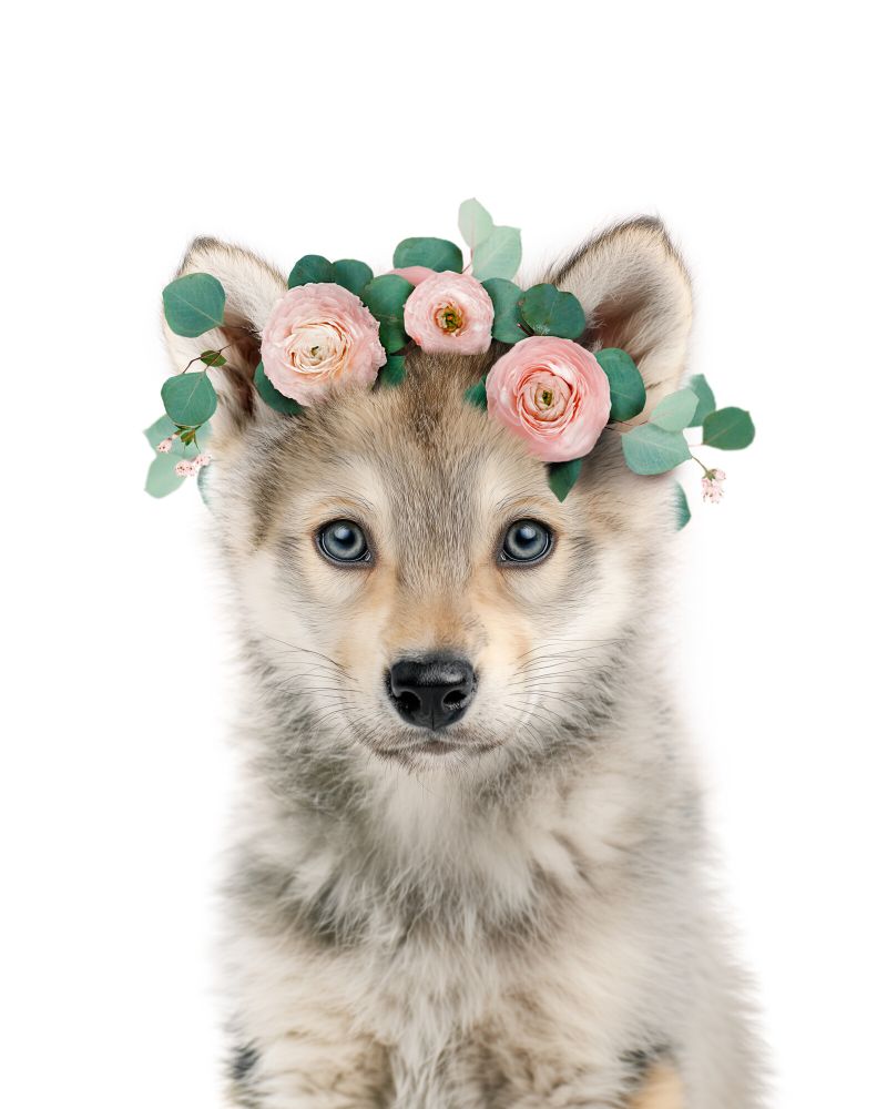 Wolf Flowers